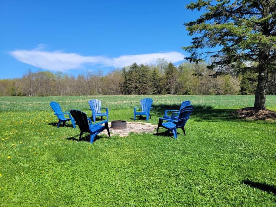 Family Friendly Cottage ☆Walking Distance To Beach Lion's Head Exterior foto