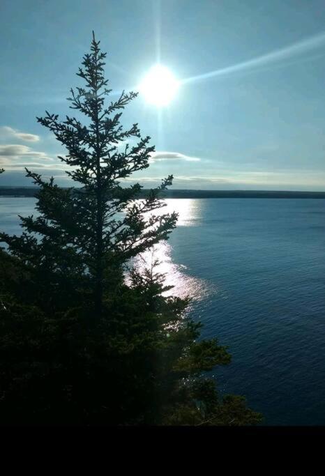 Family Friendly Cottage ☆Walking Distance To Beach Lion's Head Exterior foto