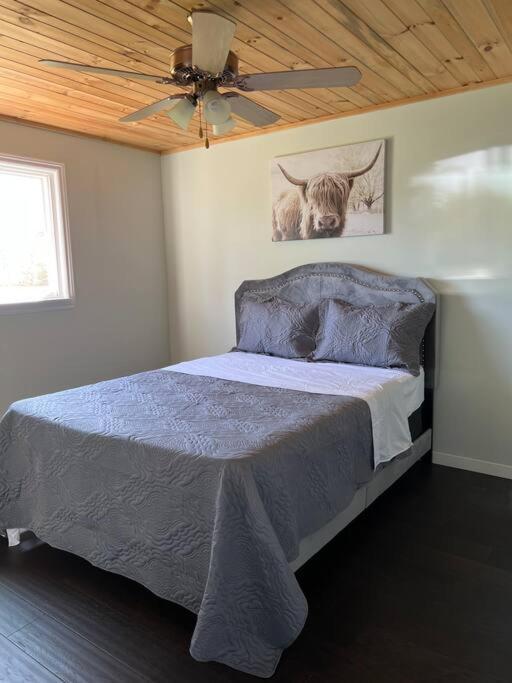 Family Friendly Cottage ☆Walking Distance To Beach Lion's Head Exterior foto