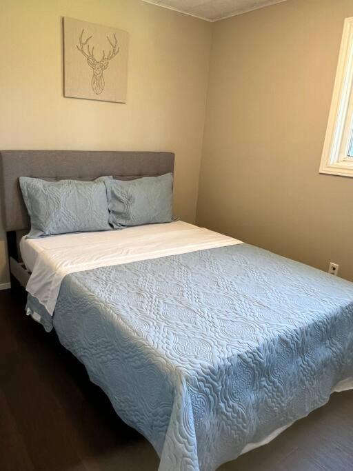 Family Friendly Cottage ☆Walking Distance To Beach Lion's Head Exterior foto